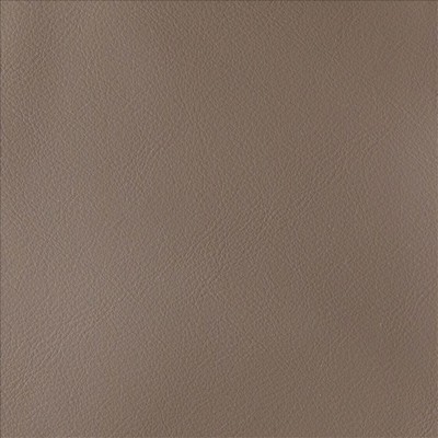 Kasmir BY DESIGN        LATTE           